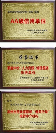 成功人力资源的核心创新 职业中介服务的未来之路